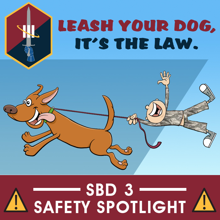 Dog on Leash Safety Spotlight
